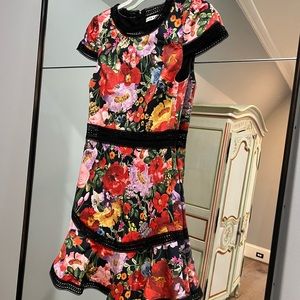 Alice & Olivia Black Red Pink Floral Fit and Flare Cocktail Dress